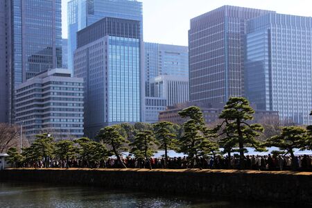 a lake on the background of skyscrapers and the avenue of pines