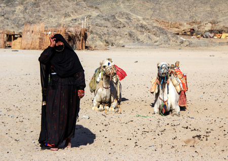 Woman Bedouin in black clothes against the background of lying camels, Egypt, May, 2012 year.