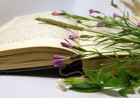 A field flowers on an open book. Still life with an open book of Honore de Balzac, Moscow, Russia, August 17, 2017.のeditorial素材