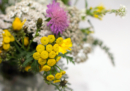 bouquet of field flowers isolated. summer colors.の写真素材