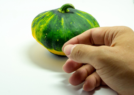 spotted squash on a white background and man's handの写真素材