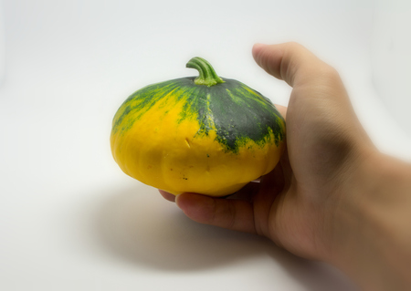 spotted squash on a white background in the handの写真素材