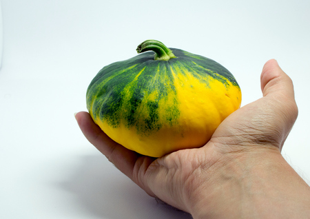 spotted squash on a white background in the handの写真素材