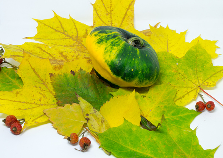 vegetables and berries on the autumn leavesの写真素材