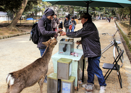 the guy buys food for deer in the park, Nara, Japanのeditorial素材