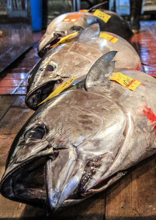 Fresh fishes on the market in Tokyo, Japan, 01/09/2013.のeditorial素材
