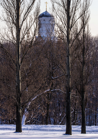 the old Russian church behind the trees. Winter landscapes in Russia.の写真素材