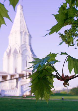 2018.05.05, Moscow, Russia. UNESCO World Heritage Sites in Russia. Historical architecture of Moscow. Famous sightseeing of Russia. An old church and trees in early spring.のeditorial素材