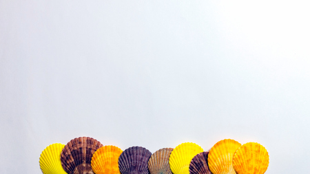 Postcard with colorful seashells on white background. Bright multicolor shells on background of white. Wallpaper with concept of sea and summer.の写真素材