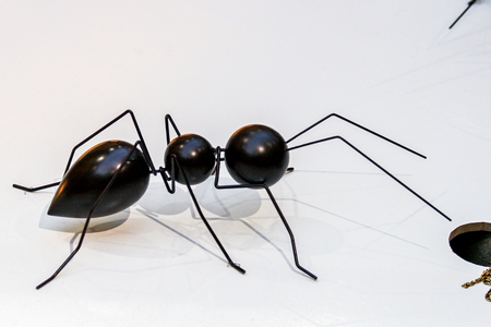 2010.04.03, Moscow, Russia. Shop window view of creative woman shoes. Composition of shoes and ants.のeditorial素材
