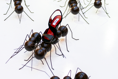 2010.04.03, Moscow, Russia. Shop window view of creative woman shoes. Composition of shoes and ants.のeditorial素材
