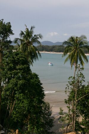 05.05.07, Phuket, Thailand. Travel around Asia. Seascape with palm trees and horizon line on Phuket Island.の写真素材