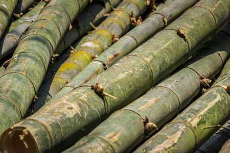 a pile of bamboo stems for furnitureの写真素材