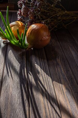 still life of sprouted onions on a wooden table and long shadows of itの写真素材