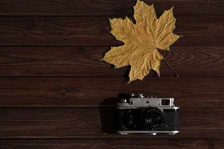 A retro photocamera and yellow maple leaf on background of dark wooden table.の写真素材