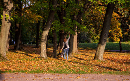 11.10.2020, Moscow, Russia. People standing under an oak and maple trees against the trunk. People walking around autumn park.のeditorial素材