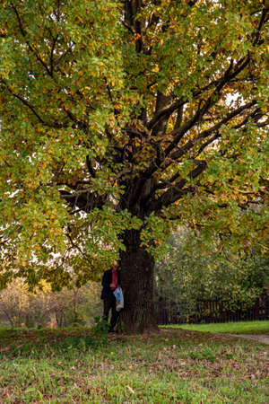 11.10.2020, Moscow, Russia. People standing under an oak and maple trees against the trunk. People walking around autumn park.のeditorial素材