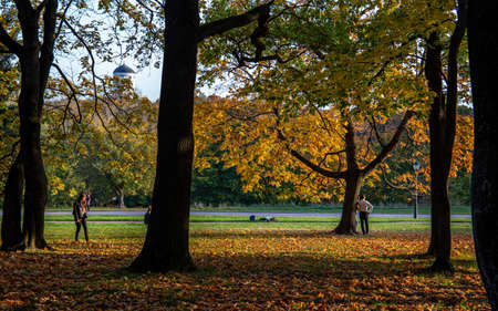 11.10.2020, Moscow, Russia. People standing under an oak and maple trees against the trunk. People walking around autumn park.のeditorial素材