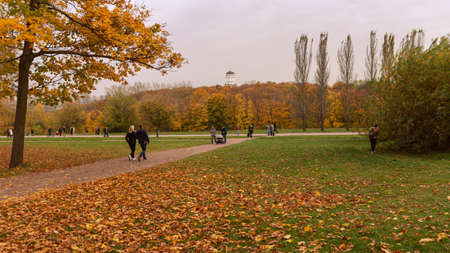11.10.2020, Moscow, Russia. People standing under an oak and maple trees against the trunk. People walking around autumn park.のeditorial素材