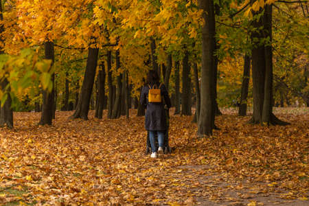 11.10.2020, Moscow, Russia. People standing under an oak and maple trees against the trunk. People walking around autumn park.のeditorial素材