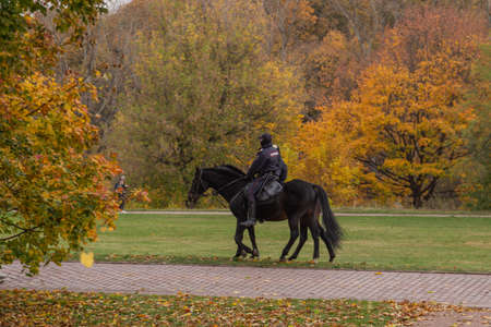 11.10.2020, Moscow, Russia. Police officers riding horse on background of falling trees. Travel around Moscow.のeditorial素材