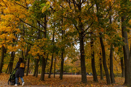 11.10.2020, Moscow, Russia. People standing under an oak and maple trees against the trunk. People walking around autumn park.のeditorial素材