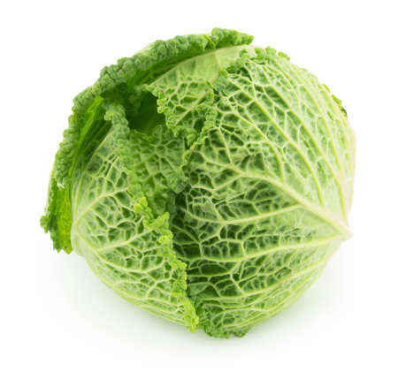 cabbage still life on a white backgroundの写真素材