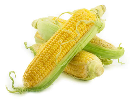 corn still life on a white background