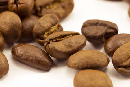 fragrant, ripe coffee beans close-up