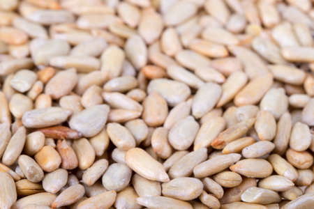 sunflower seed backgroundの写真素材