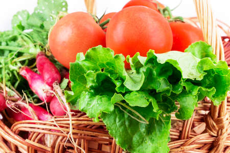 radish, tomato, lettuce, basket isolated on white backgroundの写真素材