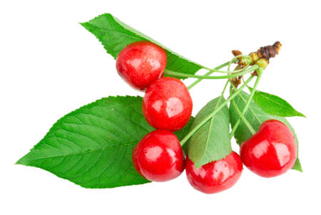 cherry isolated on white background