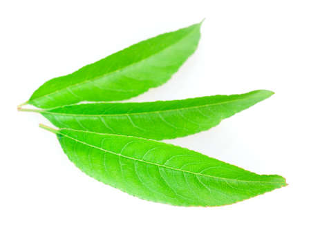 peach, nectarine isolated on white backgroundの写真素材