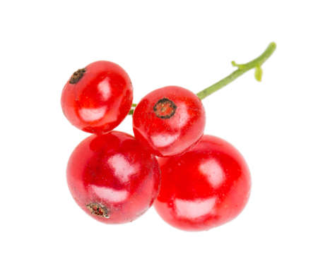 currant isolated on white backgroundの写真素材