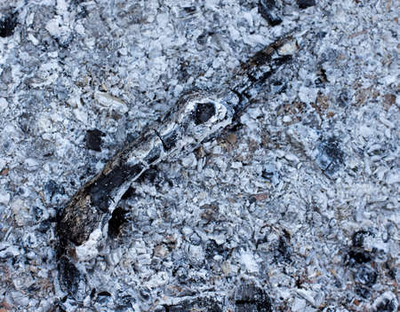 ash coals burnt wood background