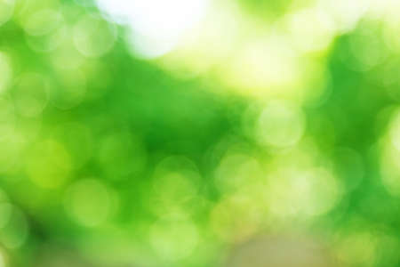 green background bokeh the grass is not in focusの写真素材