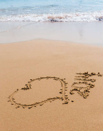 heart drawn in the sand on the beach 2014 year