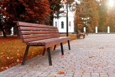 autumnの写真素材