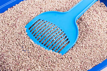 cat tray filler isolated on white backgroundの写真素材