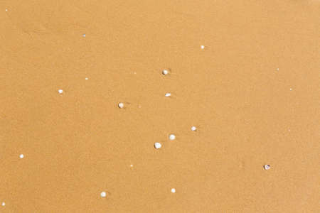 yellow sand of the sea shore waves