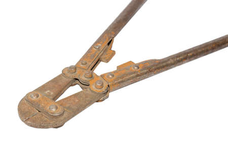 tool nippers isolated on white backgroundの写真素材