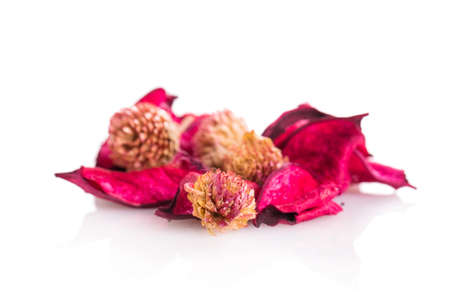 artificials flowers Isolated on white backgroundの写真素材