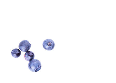 blueberry berry solated on white backgroundの写真素材