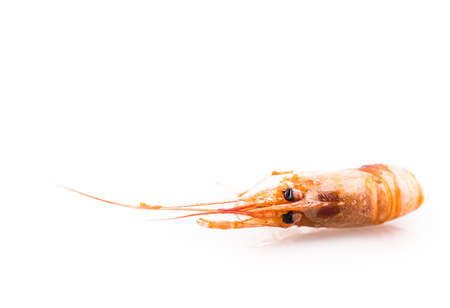 shrimp Isolated on white backgroundの写真素材