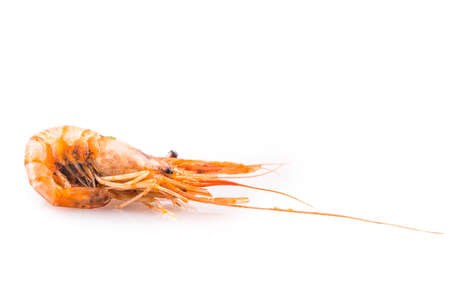 shrimp Isolated on white backgroundの写真素材