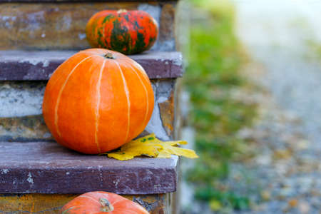 pumpkin stone stairs outdoors, outsideの写真素材