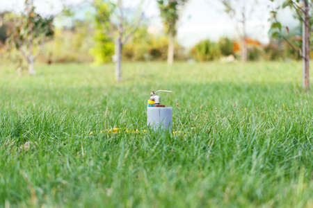 tap water grass lawn watering day outsideの写真素材