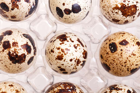 quail egg Isolated on white background