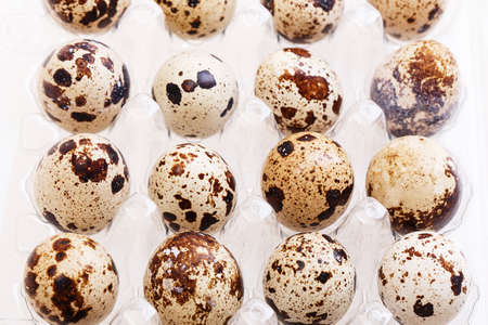 quail egg Isolated on white background