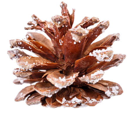 cone Isolated on white background Clipping Path